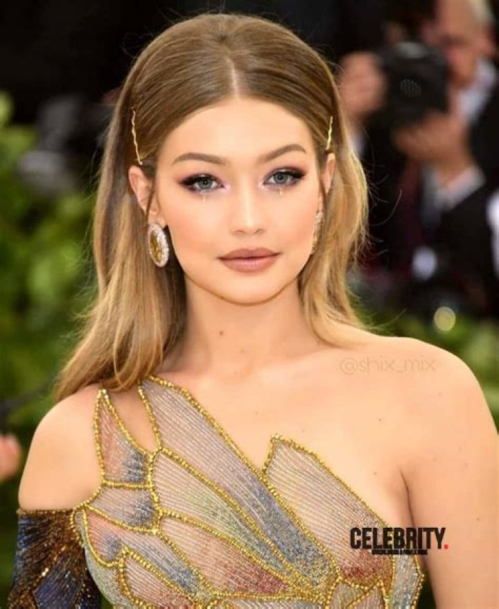 Gigi Hadid Wiki, Biographie, Age, Taille, Mariage, Contact & Informations