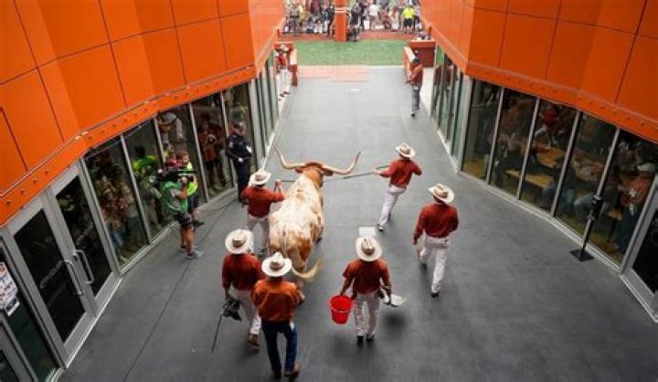 What Does Bevo Stand For?